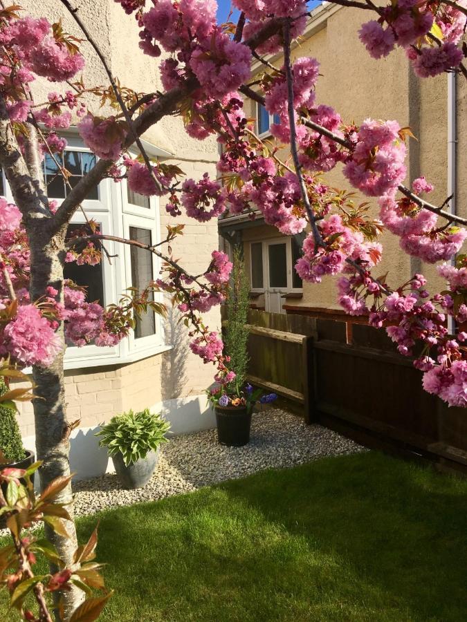 Cherry Tree House Bed & Breakfast บอร์นมัธ ภายนอก รูปภาพ